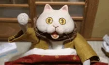 Kotatsu Neko